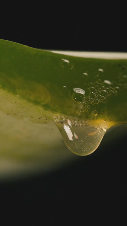 New and Improved Forever Aloe Vera Gel